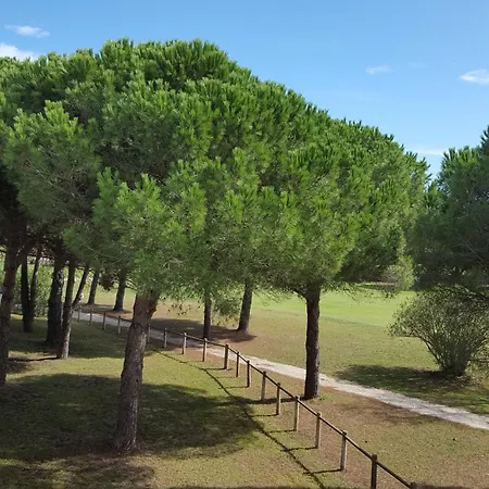 Paradis - 3 étoiles, Vue Apaisante Sur Golf, Pins Parasols, 2è étage - 80 M2 Dont Terrasse Avec Pergola, 2 Chambres, 3 Clim, Wifi - Piscine, Parking Et Park à Vélos, Ascenseur - En Option Linge, Ménage - Pistes Cyclables, à Proxi Appartement Saint-Cyprien (Pyrenees-Orientales)
